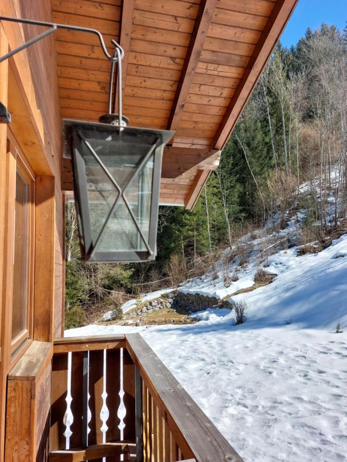 Chalet Peter Zell am See Exterior photo